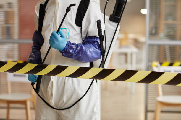 Professional Sewage Cleanup technician working in Outlook, WA